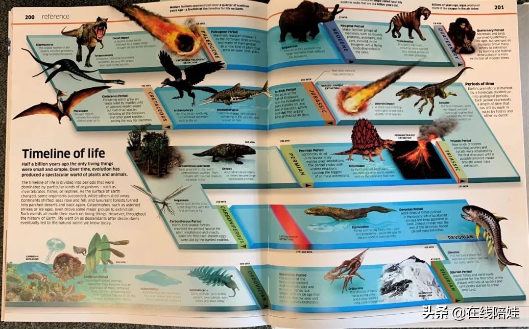 dk知识大百科全套,dk知识大百科书金银版