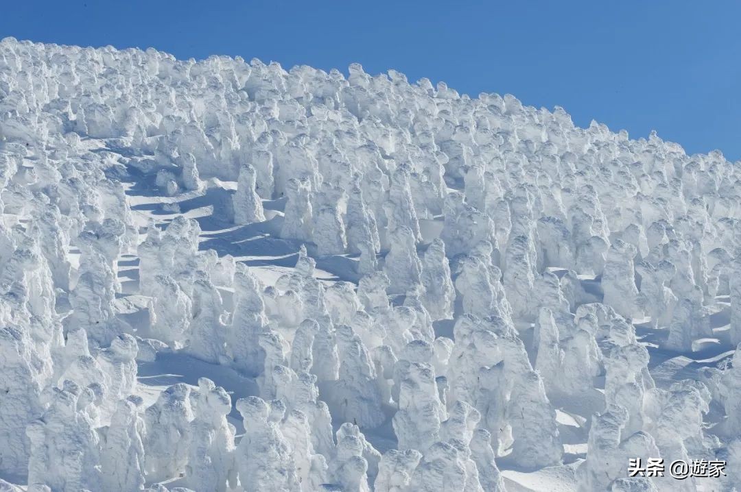 日本冬天滑雪去哪里,日本东北深山隐藏的秘密