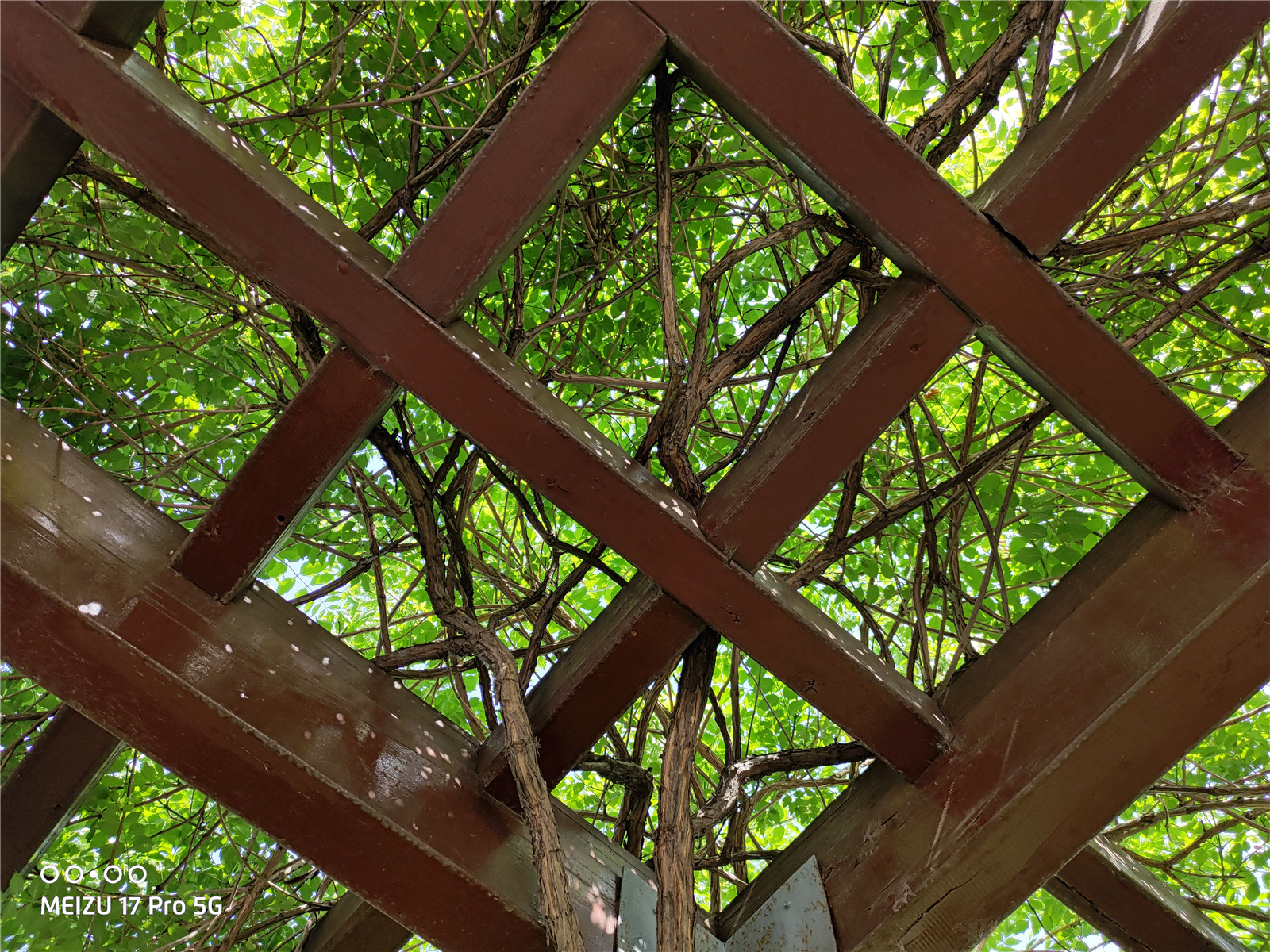 魅族17pro音质,魅族17pro评测