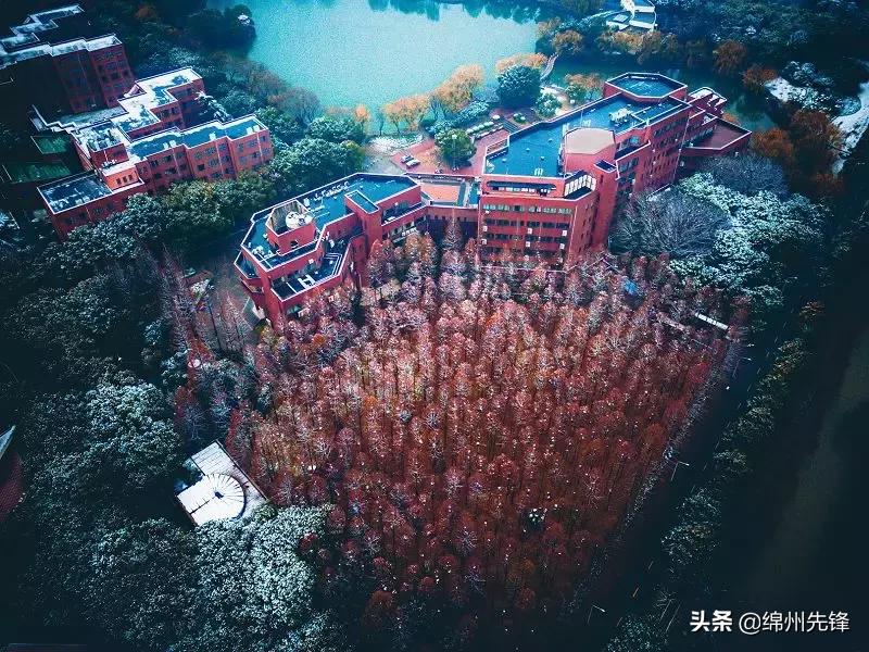 上海交大内部消息,回顾上海交大