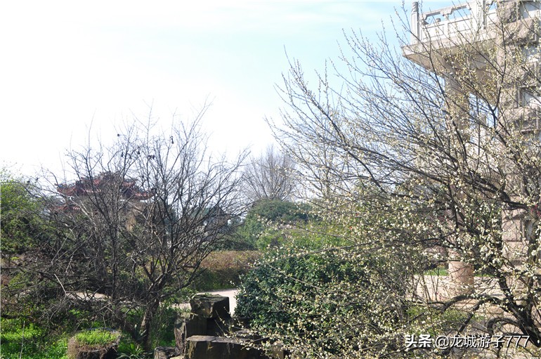 重游天一度假村,重游旧地去哪玩