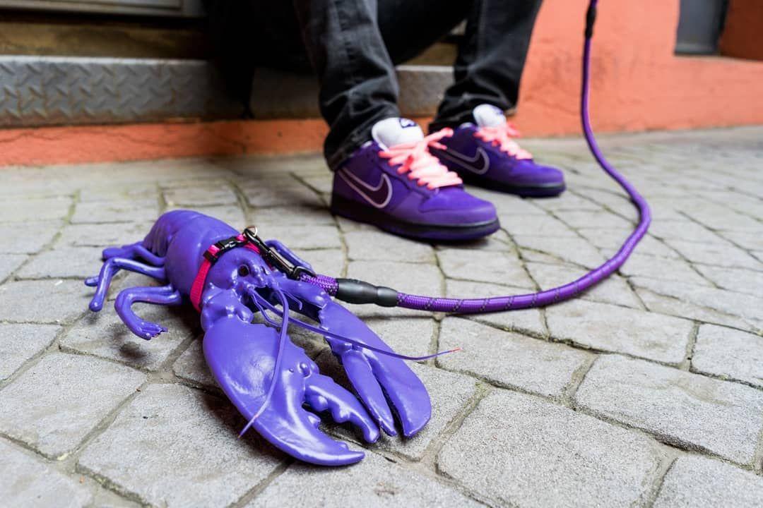 nikedunk经典试穿特写,nike经典dunk高帮