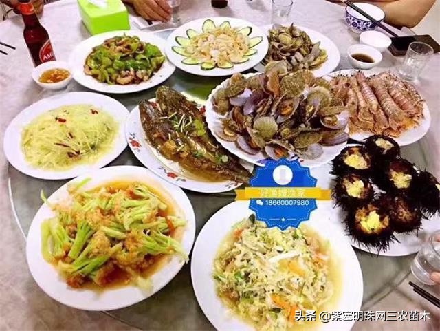 长岛值得去的渔家乐,长岛美丽的海岛