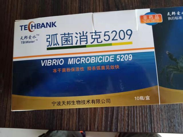 池塘高温最容易起蓝藻怎么预防,高温天气虾塘如何处理青苔