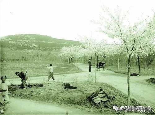 青岛八大风景区都有哪,青岛最美的十大公园