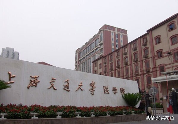复旦大学和上海交通大学全国排名,复旦大学上海交通大学学科对比
