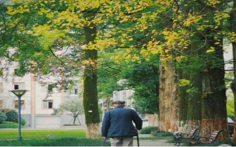 催泪散文想念父亲,亲情回忆散文作文