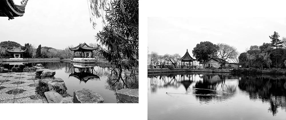 冼东文：寻找西施（蠡园情）