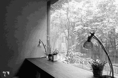 精品欣赏｜沐之《痴梦》《梦入桃园》《夜色之恋》诵：明子