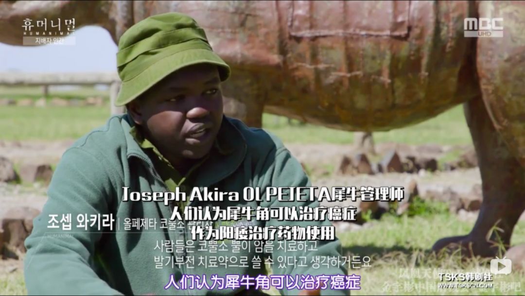 韩国寄生虫深度解析,寄生虫韩国结局