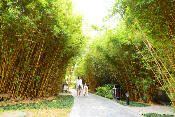 泡火山温泉，是一种怎样的感受，去清远森波拉约泡