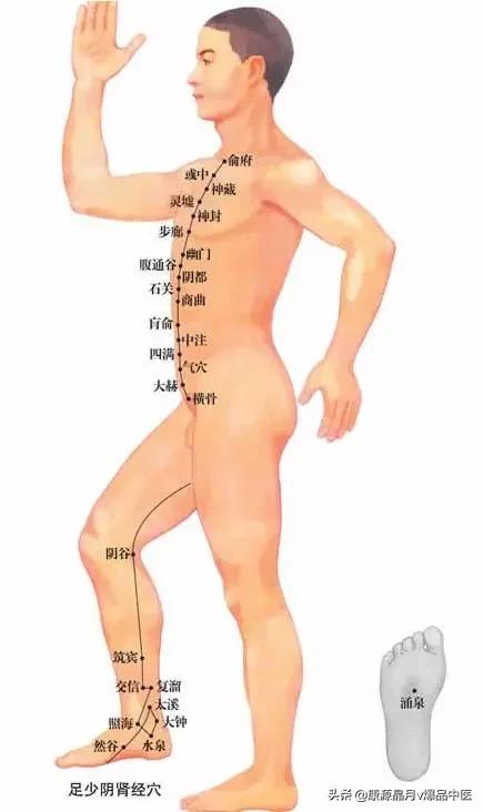天下无疾,十二经脉流注图总结规律