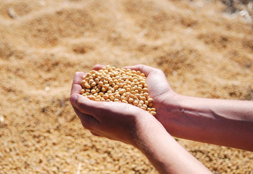 孩子补钙的十大陷阱,补钙吃什么钙食物最好