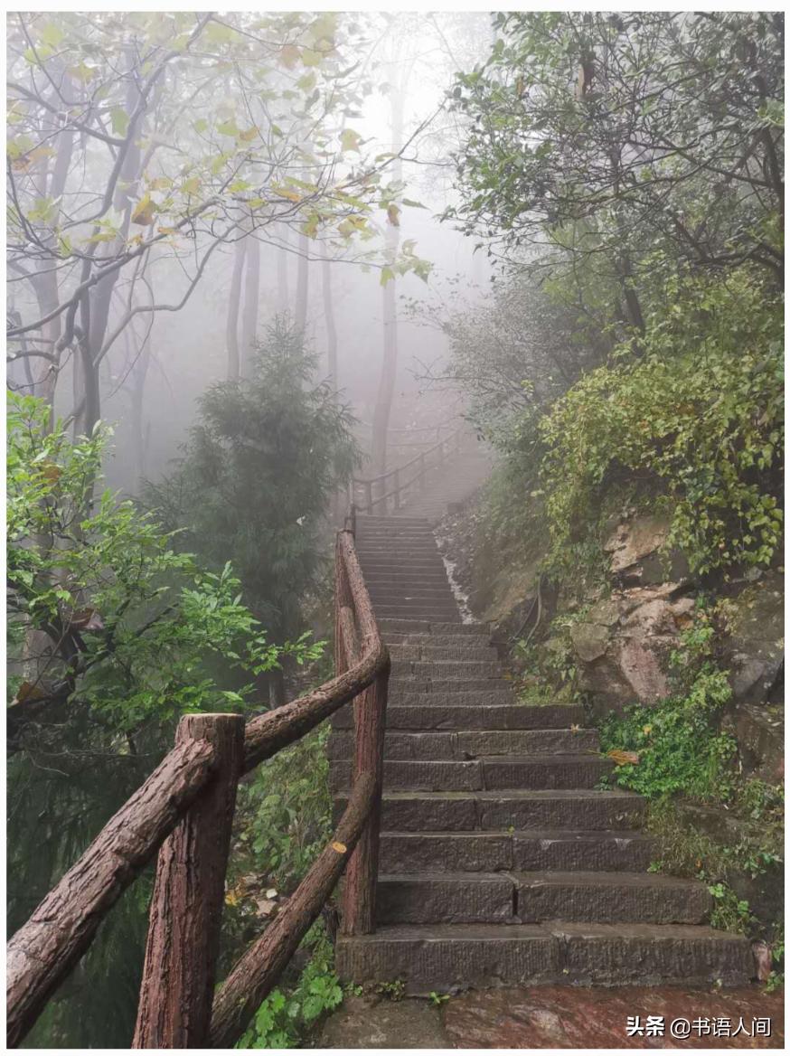 在山上被猴子追,张家界黄石寨的猴子抢东西视频