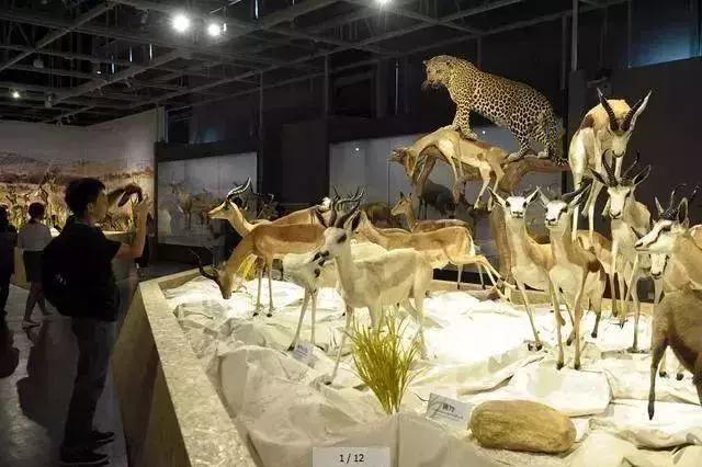 武汉建博会地点,建博会举办对武汉有什么影响