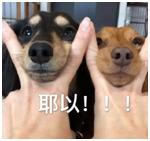 富德生命人寿排第几？是可以信赖的保险公司吗？