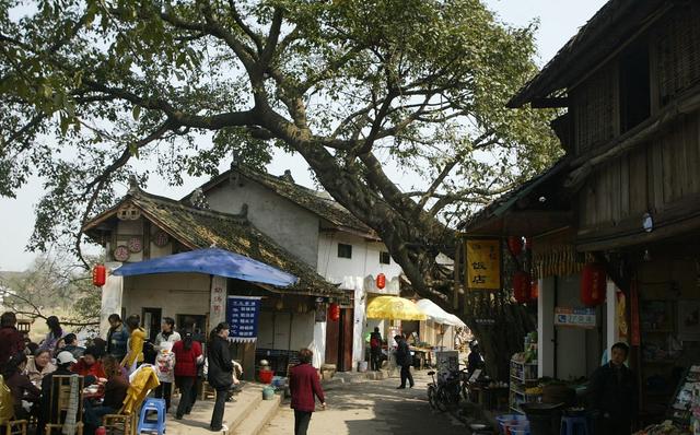 成都怎样去青城山都江堰,成都十大景点武侯祠