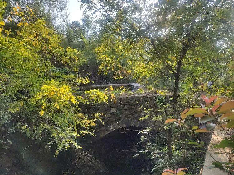 济南申请加入“大乱斗”！@理塘丁真，你的珍珠……泉在这里！