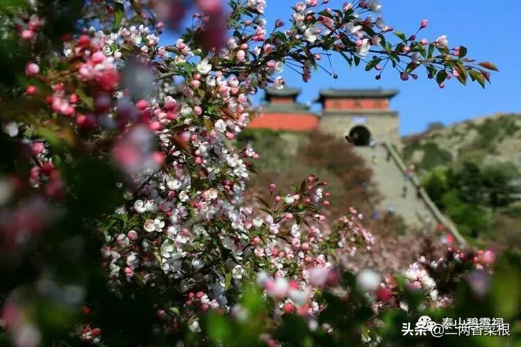 勿以身贵而贱别人,有一种修养叫从不炫耀