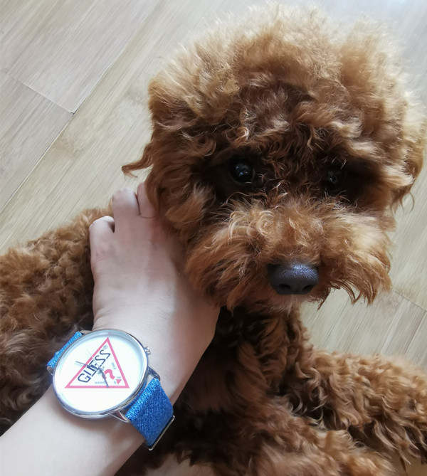 guess手表如何调整,guess男士表