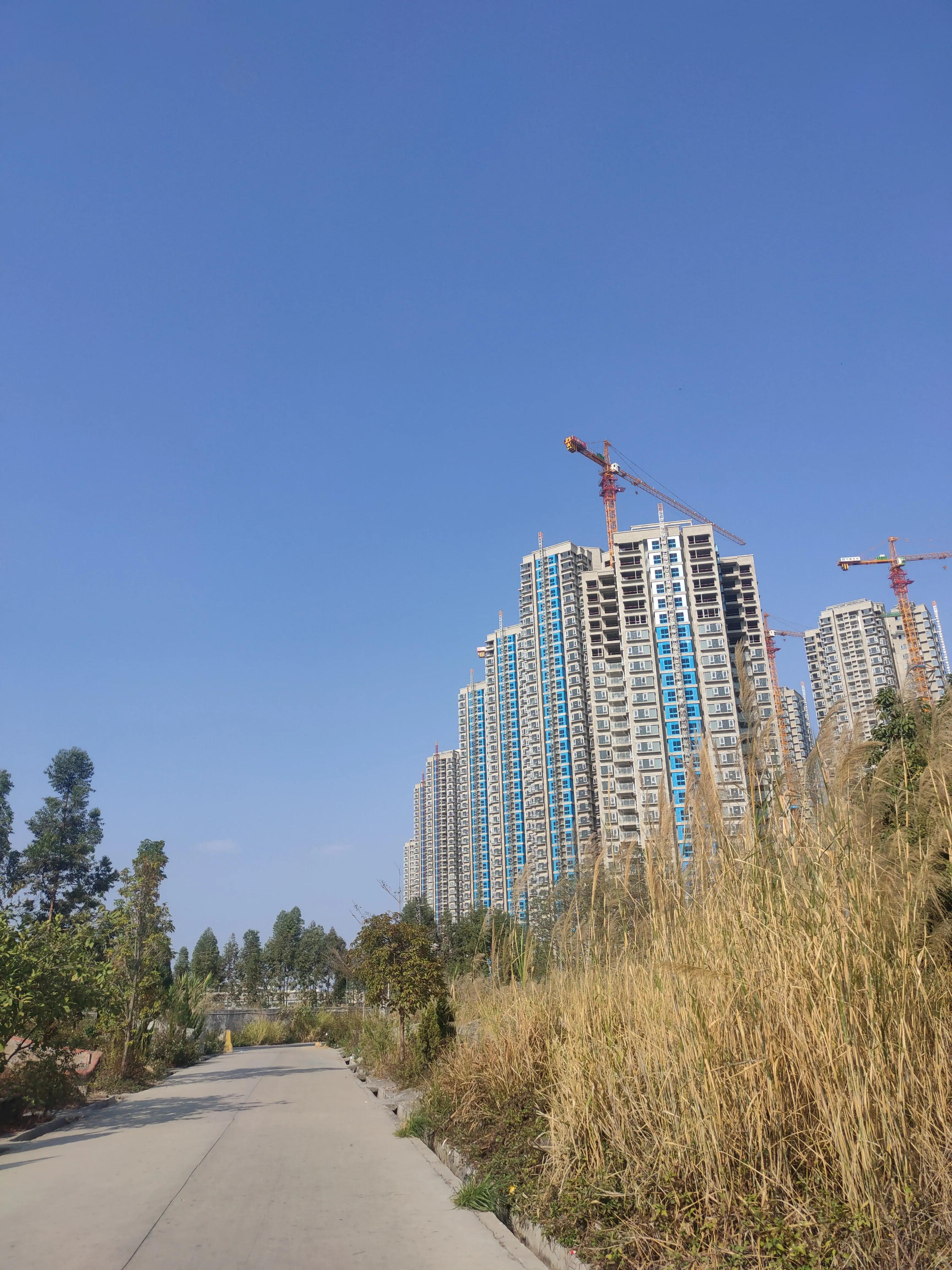 偌大的城市我的栖身之处在何处,偌大的城市容不下一个漂泊的灵魂