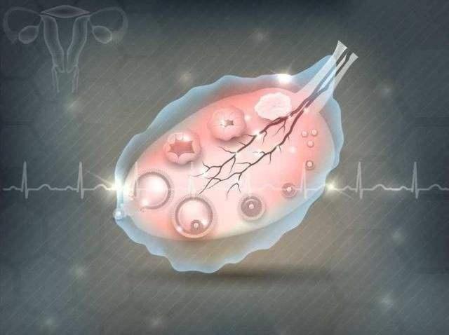 女人一个月排几个卵能怀三胞胎,女人一个月会排几次卵