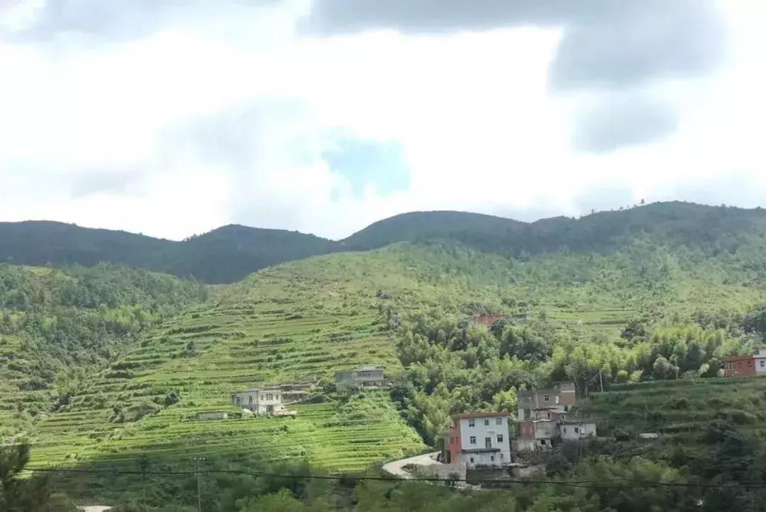 铁观音的产地及历史,铁观音产地安溪是什么地方