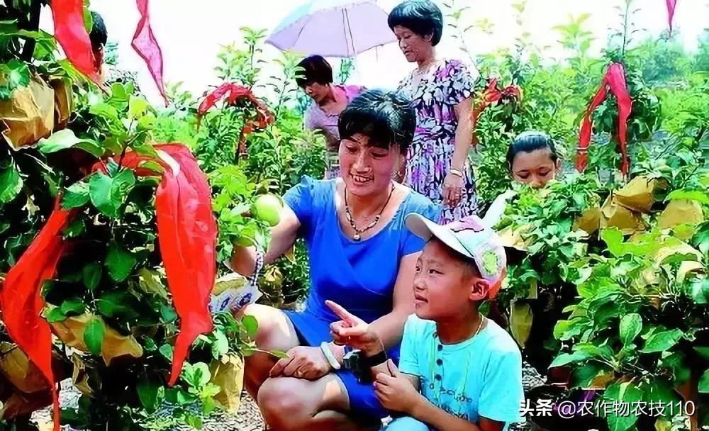 农村适合穷人的18个创业项目利润,农村小本养殖创业项目大全