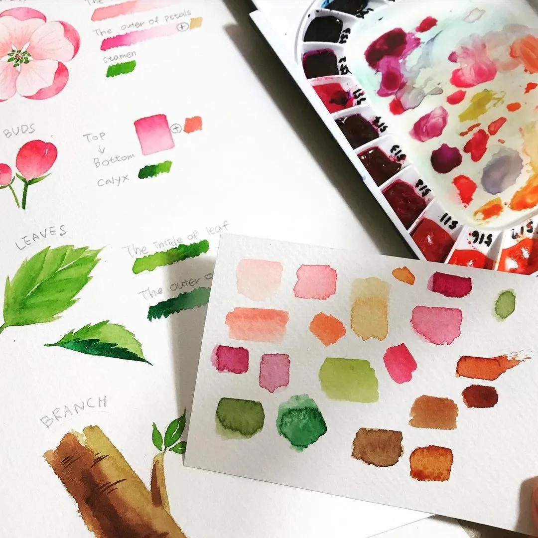 一分钟教你简单画花,简单的花卉图教程