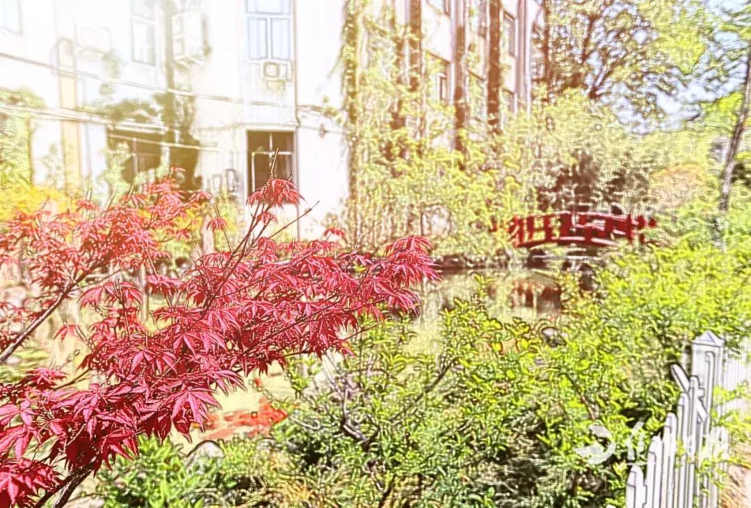 焦作市第十一中全国排名,焦作市第十一中学