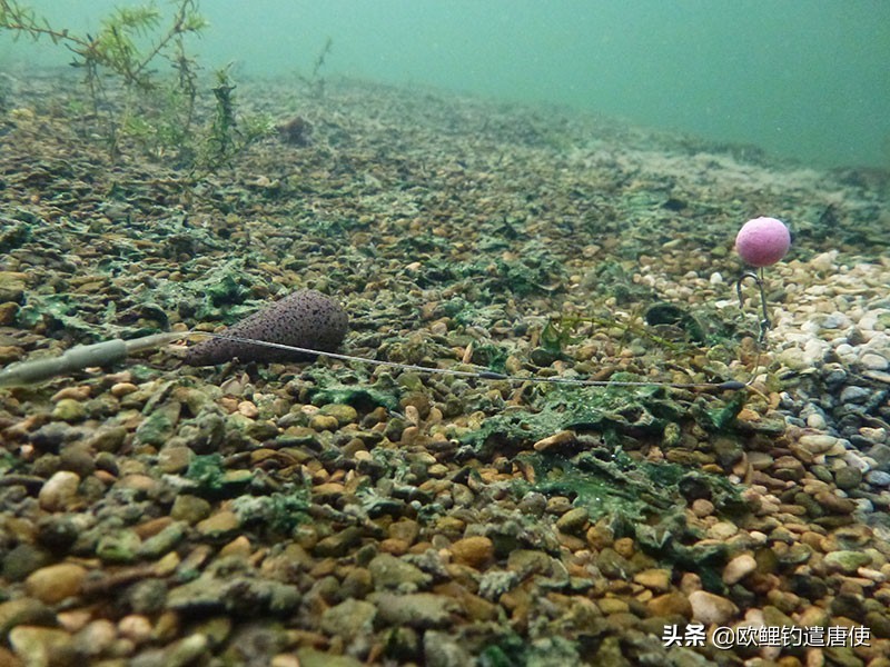 钓鱼也是一种技术,科学钓鱼的基本原理