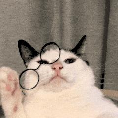 微信的翻译功能怎么设置语言,微信怎样一边打字一边翻译英文