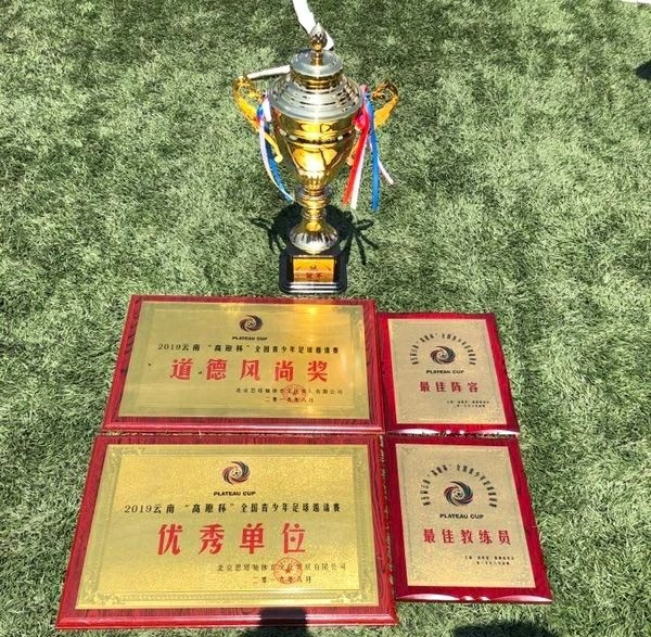 高原杯全国青少年足球邀请赛大理,2019昆明高原杯足球邀请赛