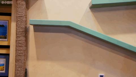 全国数万条家庭视频曝光,非典型纪录片