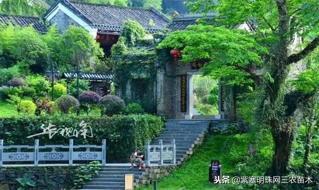 黄姚古镇大黄牛客栈团购优惠,贺州市昭平县黄姚古镇大黄牛客栈