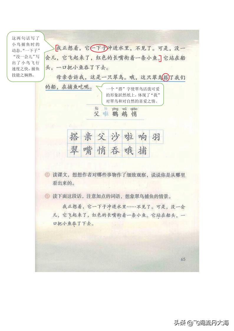 语文三年级基础训练15课搭船的鸟,三年级上册语文课堂练习搭船的鸟
