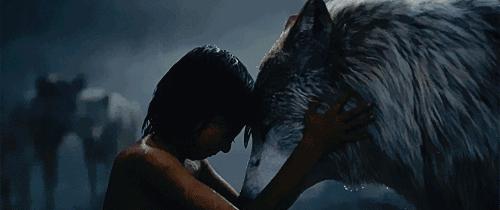 英语电影磨耳朵初中,英语电影磨耳朵6-12岁