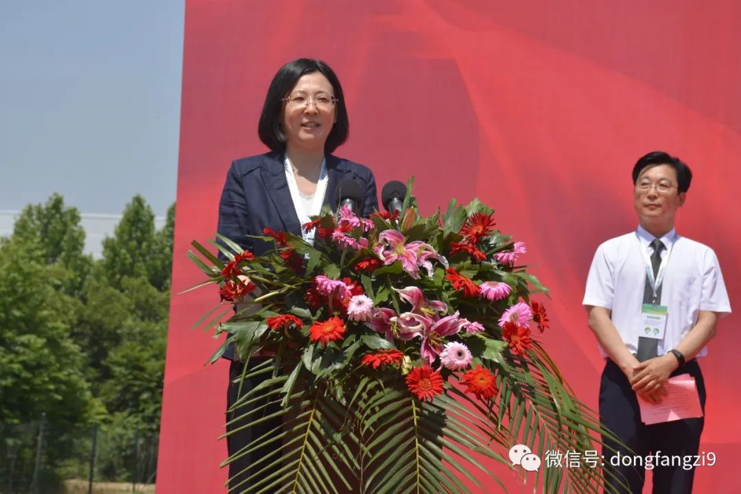 夏津东方紫桑文化博物馆暨酒庄项目举行奠基仪式