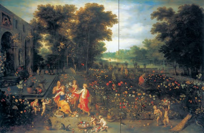 红衣主教来历,红衣主教月季分布区域