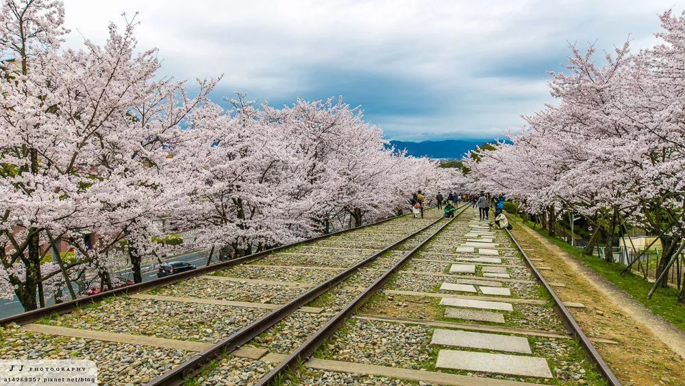 放学后桌游俱乐部12集,放课后的桌游俱乐部