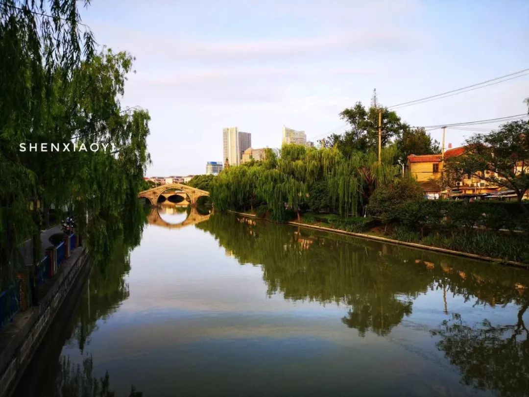 高桥松饼好吃吗,比老婆饼还好吃的饼