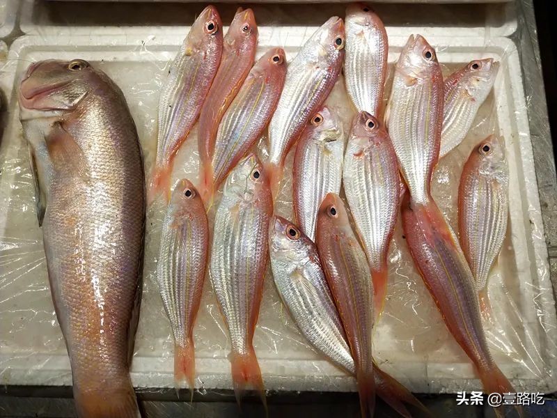 每天都有你想吃的海鲜美食,海鲜美食等你来品尝