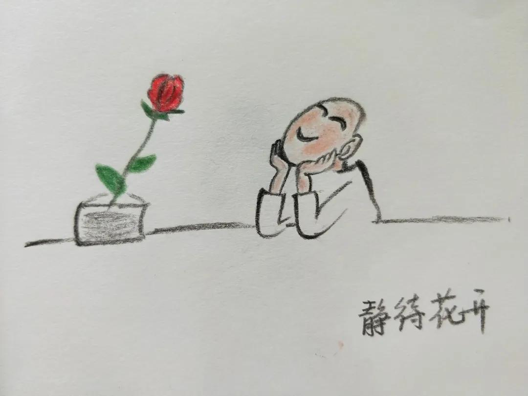 宅家创意搭建游戏,宅家亲子游戏及玩法