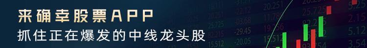 我心目中的中国股市,股票市场中各板块龙头股票