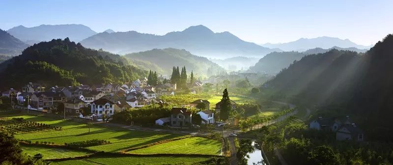 2020年农村家庭农场发展规划,农业农村部要发展家庭农场