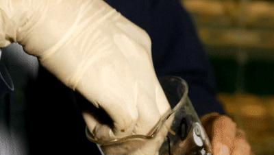 杩欐槸浣犳兂璞′腑鐨勬幢娴峰悧,浣犵湅鍒扮殑娲辨捣