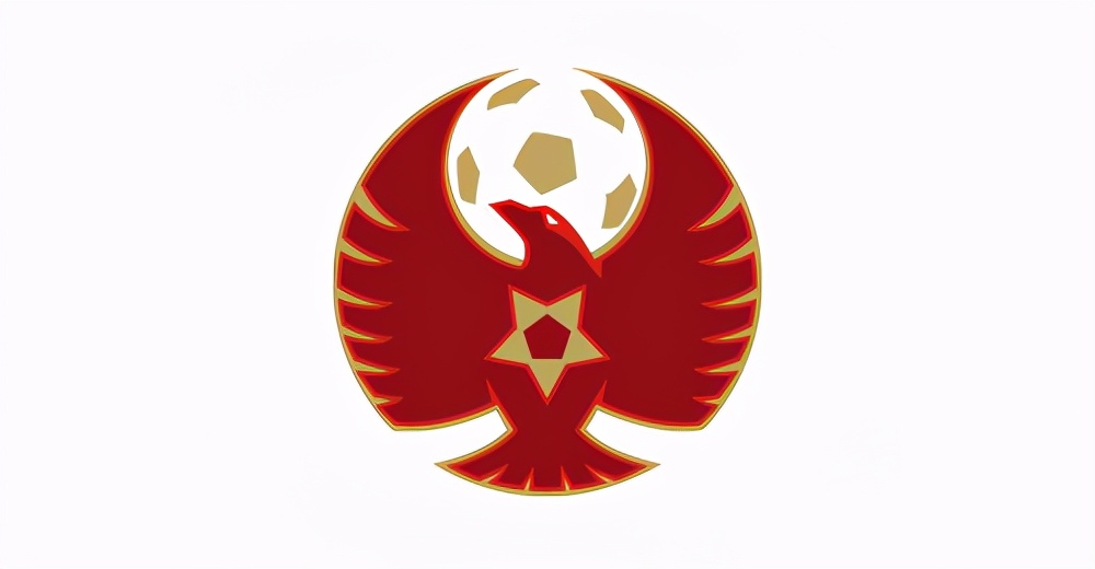 足球标志设计,足球标志盘训练教学视频