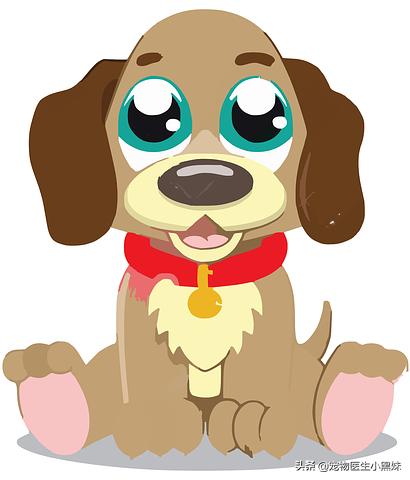 能给狗狗吃香肠吗,能给狗狗吃鸡蛋吗