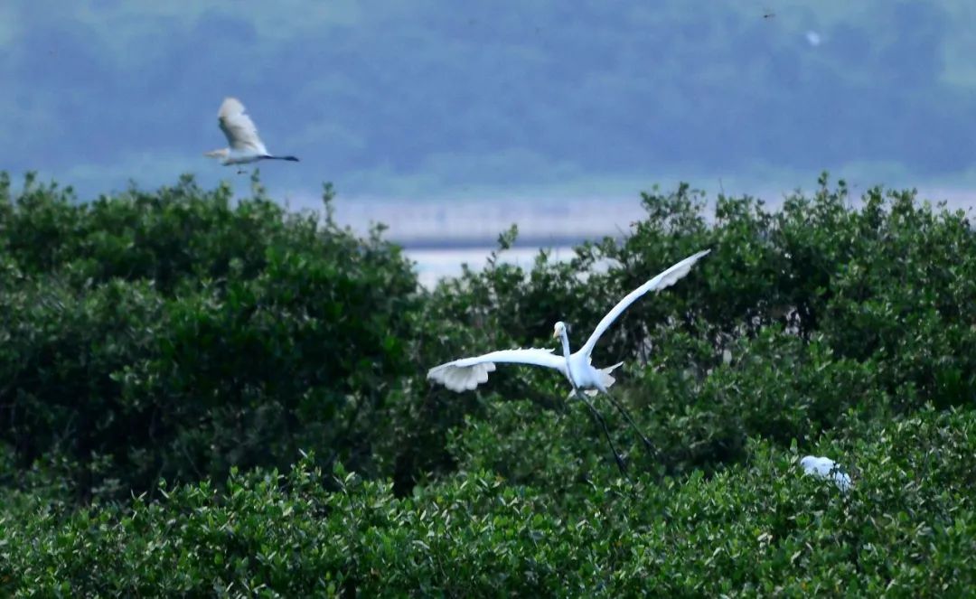 去人少景美的小众海岛度个周末,这些海岛人少景美不输马代