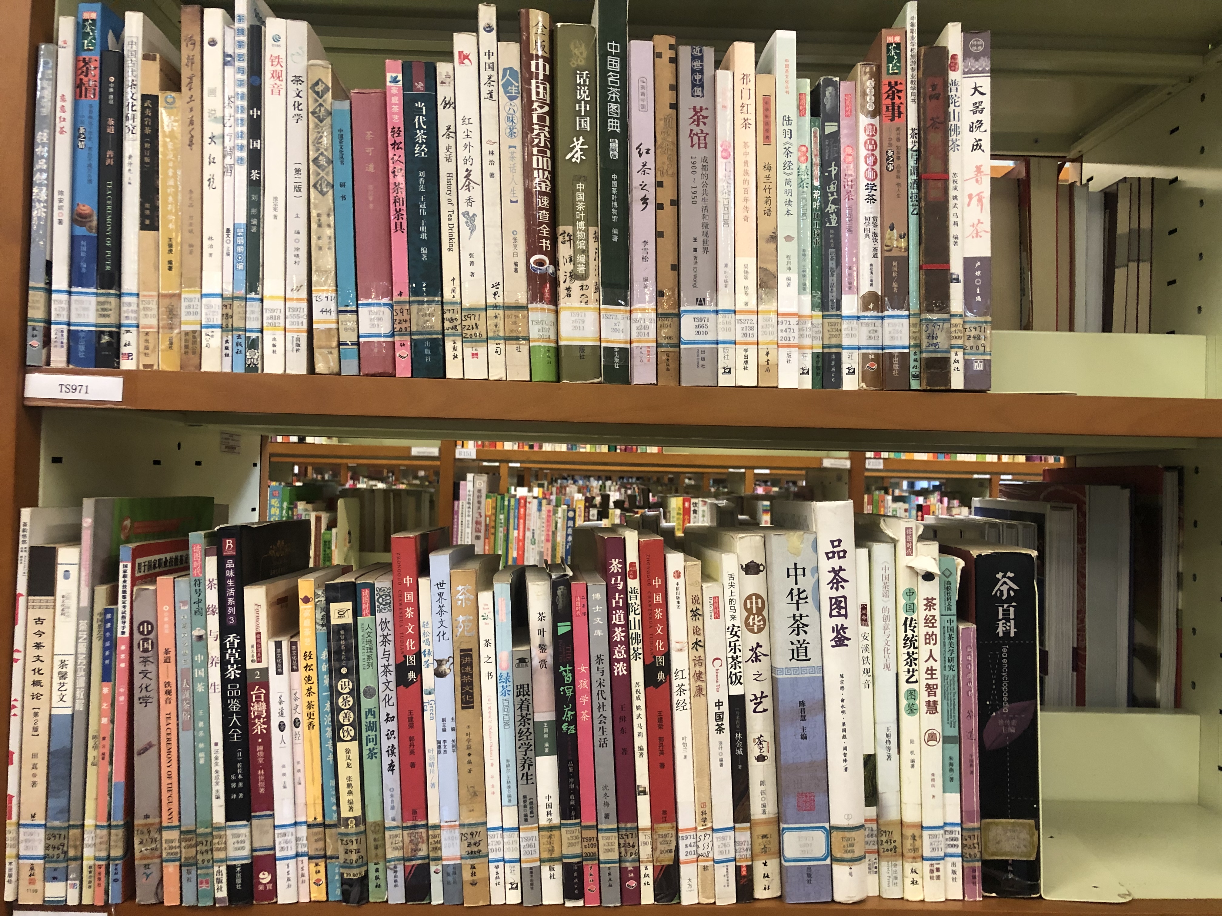 西湖龙井春茶季,龙井茶西湖明前春茶